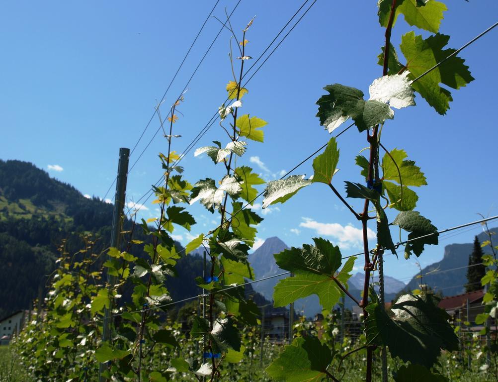 Apartament Gielerhof Zell am Ziller Zewnętrze zdjęcie
